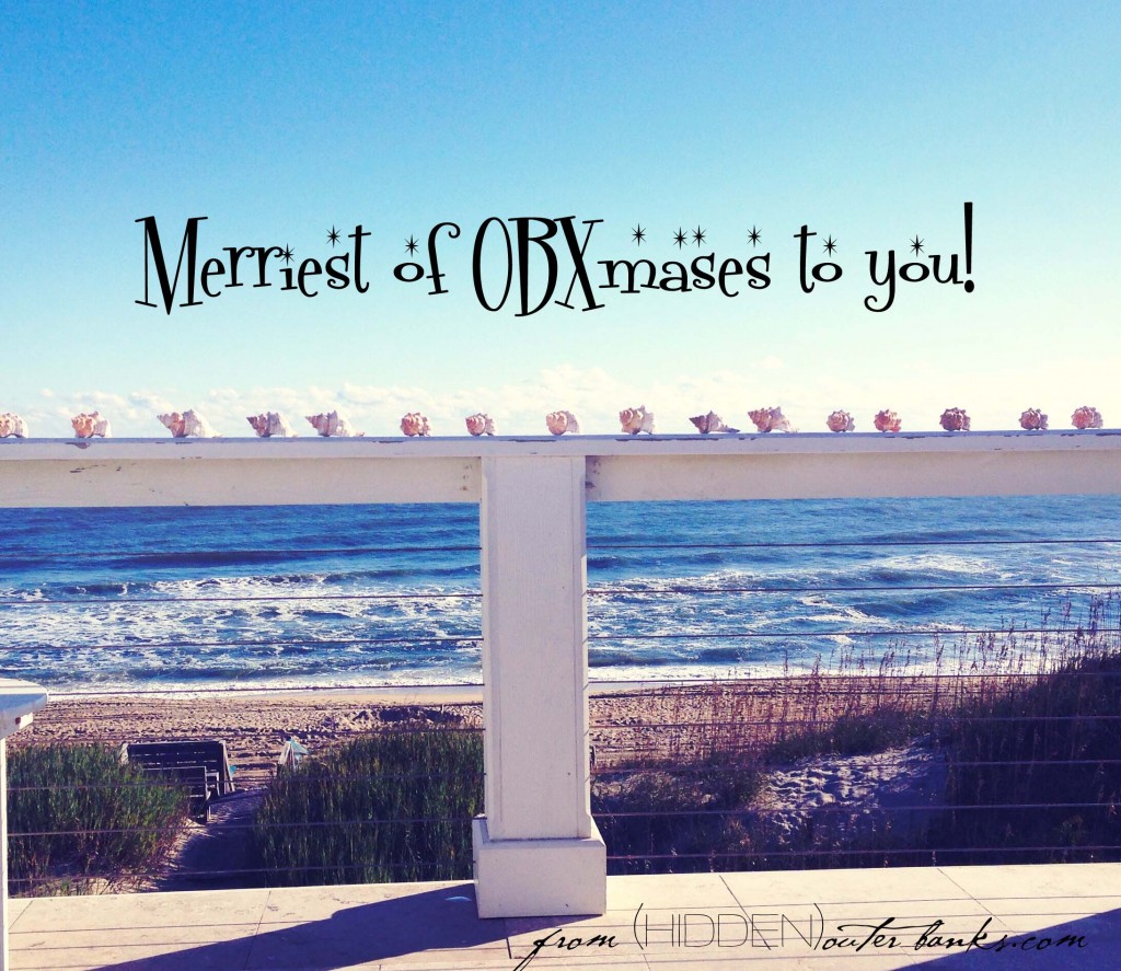 ocean and railing with shells