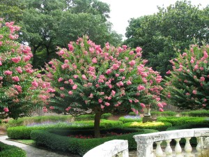 Sunken Gardens at the Elizabethan Gardens. Photo, Wikimedia