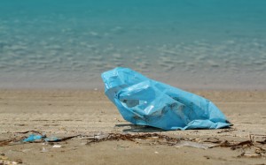 Plastic bag on the beach. Almost unheard of on the Outer Banks since the ban on plastic bags was enacted five years ago.