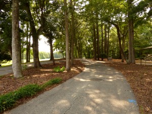 Fairway Drive in Southern Shores. One of the roads scheduled for improvement. Improvement plans call for the removal of up to 50 trees.