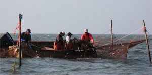 Fishermen hauling in a net at Day at the Docks.