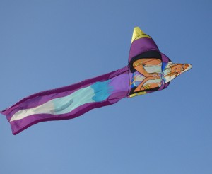 Handmade kite in flight at the AKA convention.