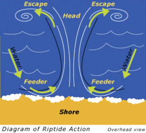 rip tide chart