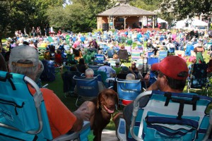 music on the green in duck