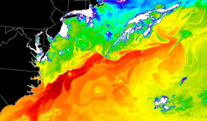 Gulf Stream (in red and orange) as it flows past Cape Hatteras.