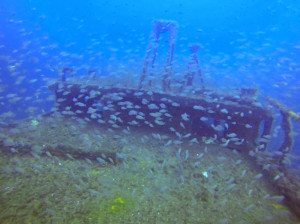 The tugboat Titan, part of one of the Division of Marine Fisheries artificial reefs. Photo UNC