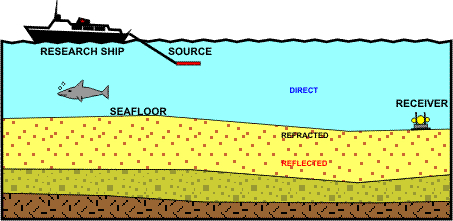 Diagram of seismic surveying. Marine mammals and fish are often affected by the process.