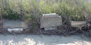 Damage to headstones at Salvo Day Use Cemetery. Photo, Tammy O'Hagan, ncgenweb