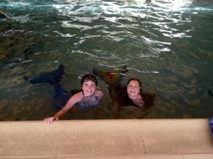 mermaids in the pool