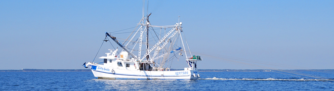 NC Shrimp boat.