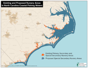 Map showing extent of shrimp nurseries in NC waters.