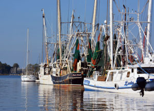 Shrimp fleet at docks in Oriental on the Pamlico Sound.