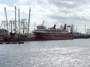 Ships of the fishing fishing fleet at rest at Wanchese harbor. Picture Kip Tabb