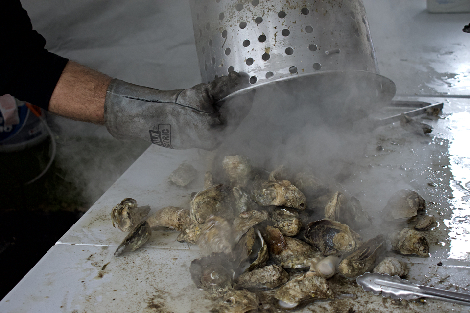Steamed oysters on Sunday. Photo Kip Tabb