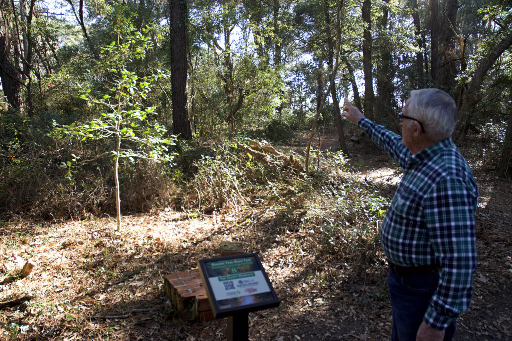 Rad Tillett points to where his grandparents house once stood in Nags Head Woods.